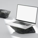 Balancing Memorization with Deeper Conceptual Understanding