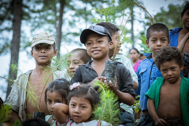The Impact of Extracurricular Activities on Holistic Development