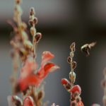 Cultivating Gratitude for the Small Victories in Daily Life