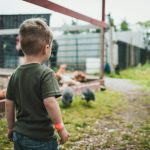 Exploring the Diverse World of Agritourism and Farm Stays