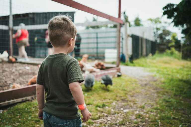 Exploring the Diverse World of Agritourism and Farm Stays