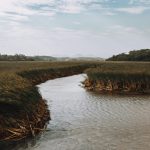 What Happens if Banks Fail or Merge?