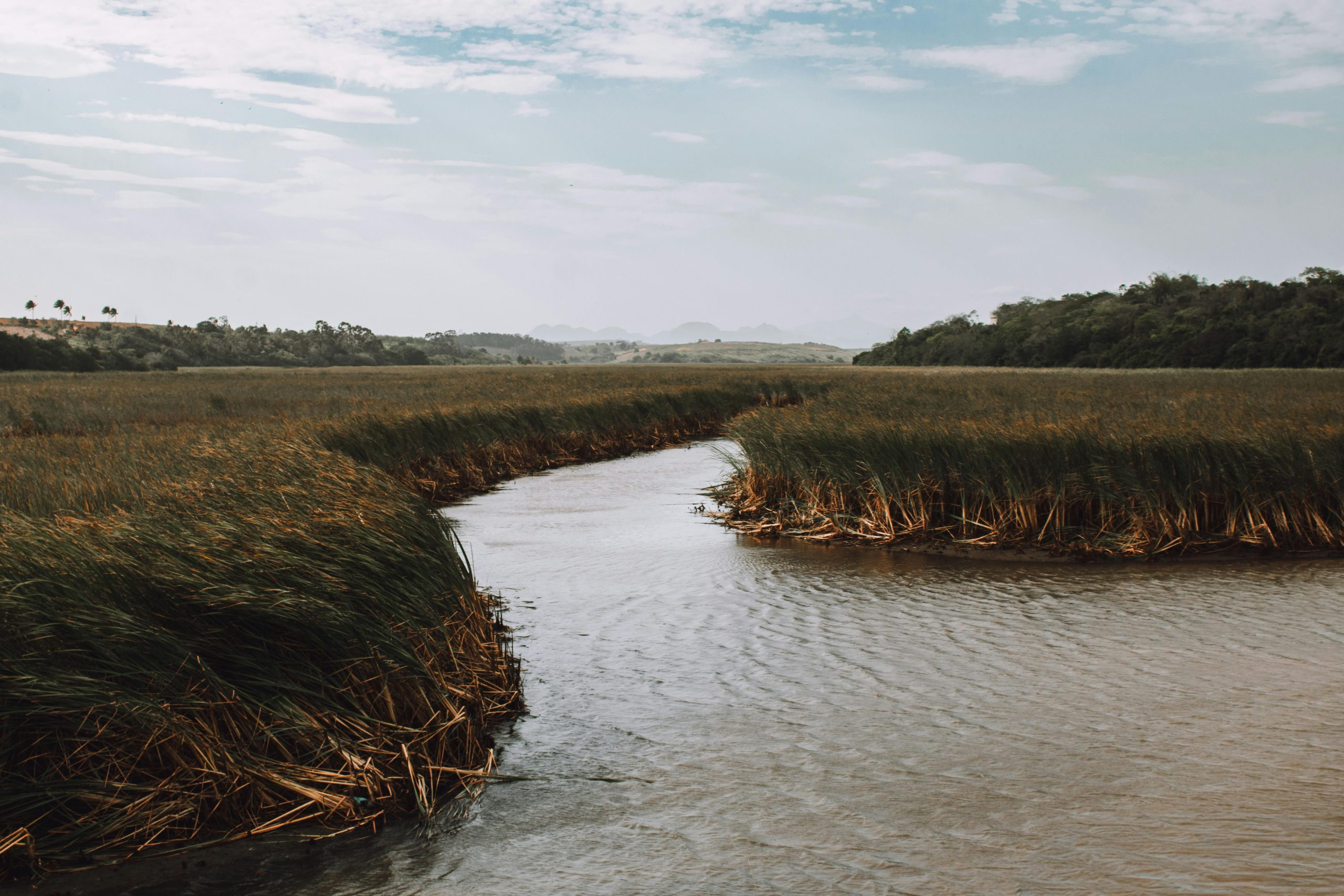 What Happens if Banks Fail or Merge?