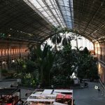 Building Resilient Learners Through Growth Mindsets