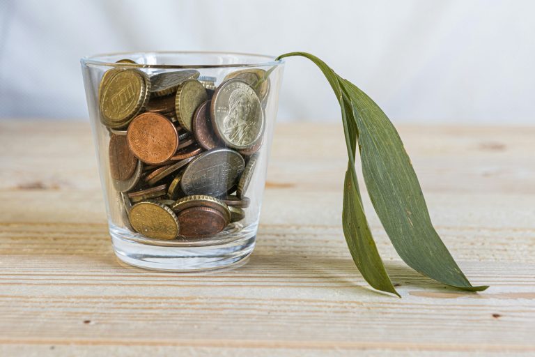 Emergency Financial Planning for Small Businesses